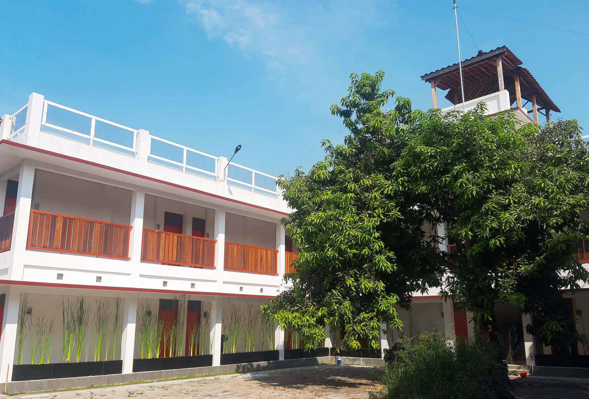 guloklopo kost